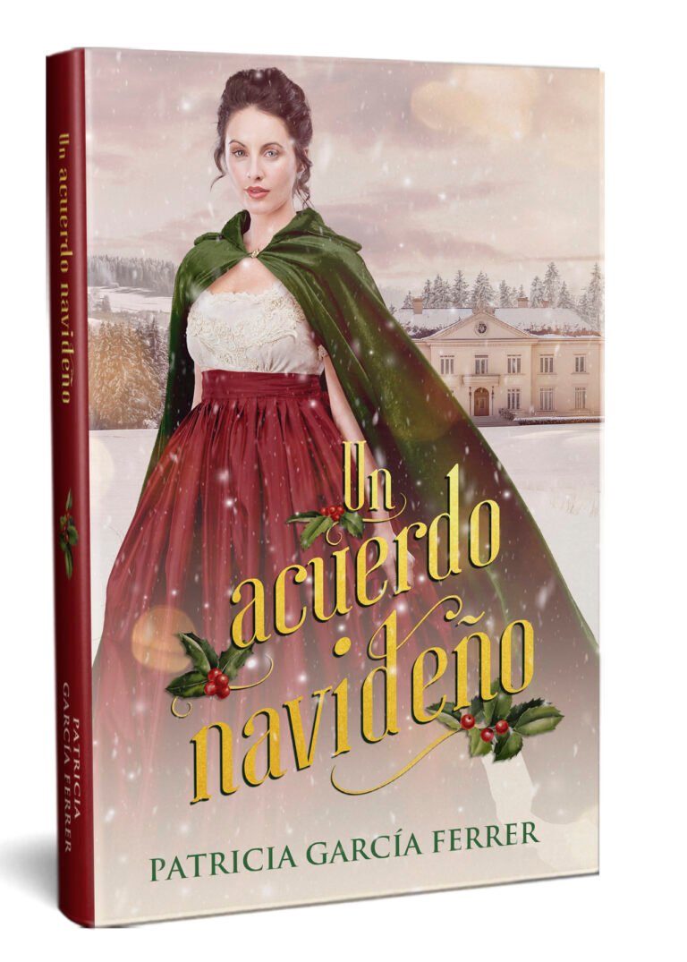 Portada de Un acuerdo navideño